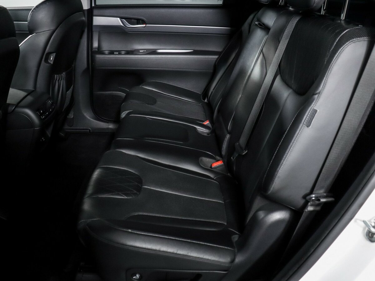 Hyundai Palisade I, 2019 Фото №10