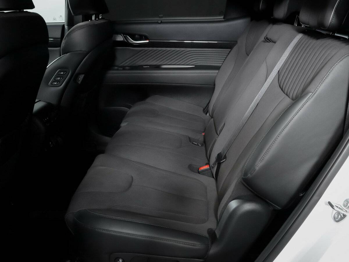 Hyundai Palisade I Рестайлинг, 2024 Фото №10